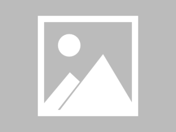 大跨度無梁拱形彩鋼波紋屋面施工技術(shù)_楊良